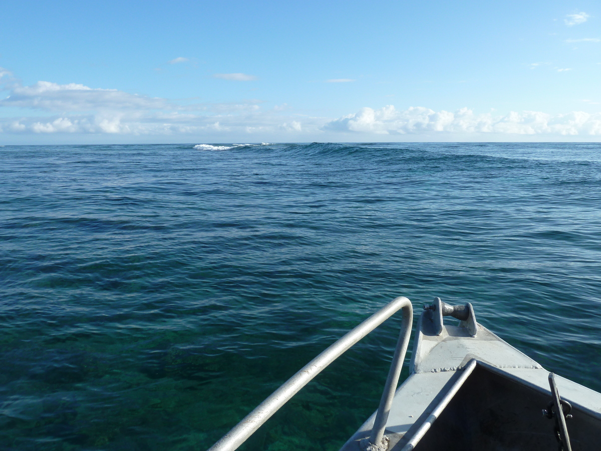 Photo Îles Fidji île Castaway(Seul au monde) 2010-05 179