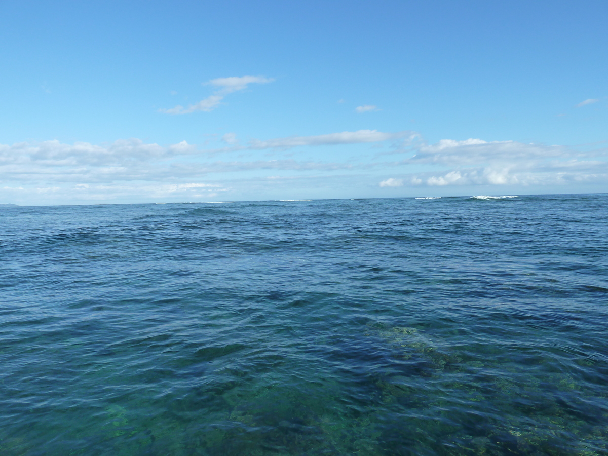 Photo Îles Fidji île Castaway(Seul au monde) 2010-05 184