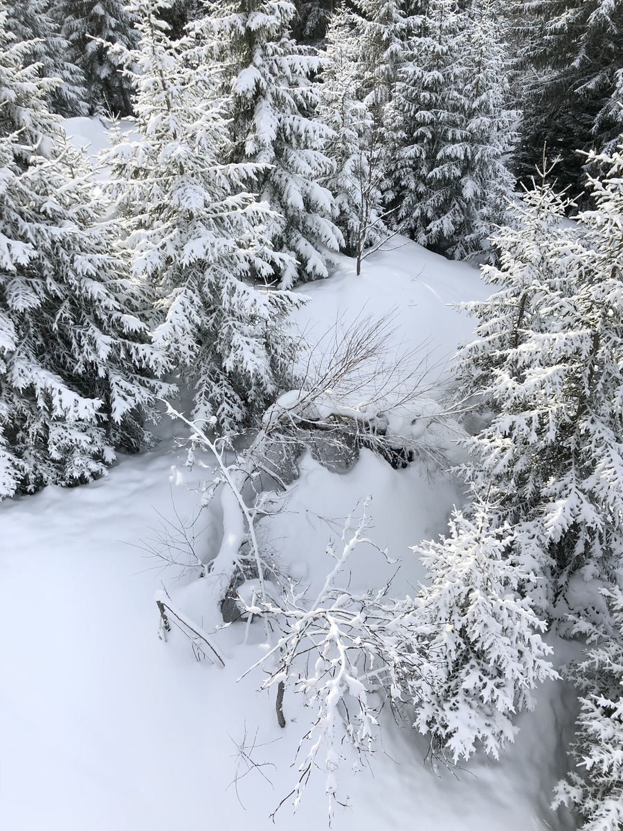Photo France La Clusaz 2017-12 361