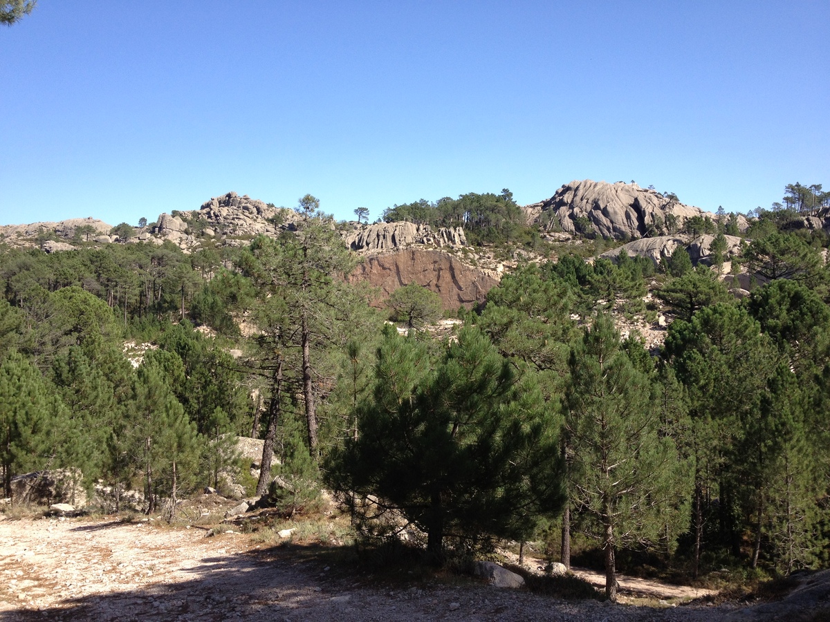 Photo France Corse Forêt de l'Ospedale 2012-09 53