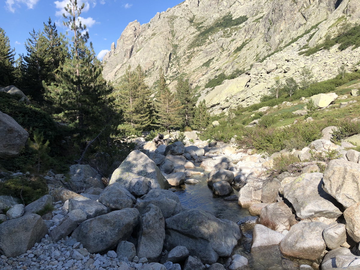 Photo France Corse La Restonica 2020-07 26