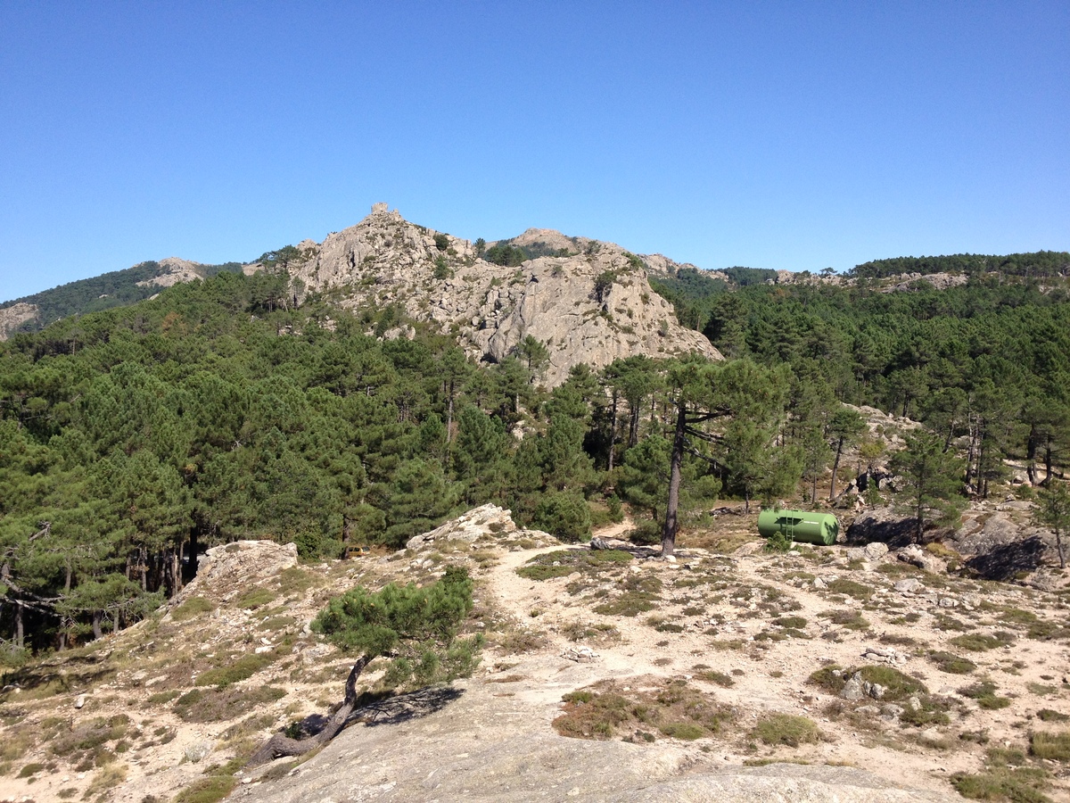 Photo France Corse Forêt de l'Ospedale 2012-09 62