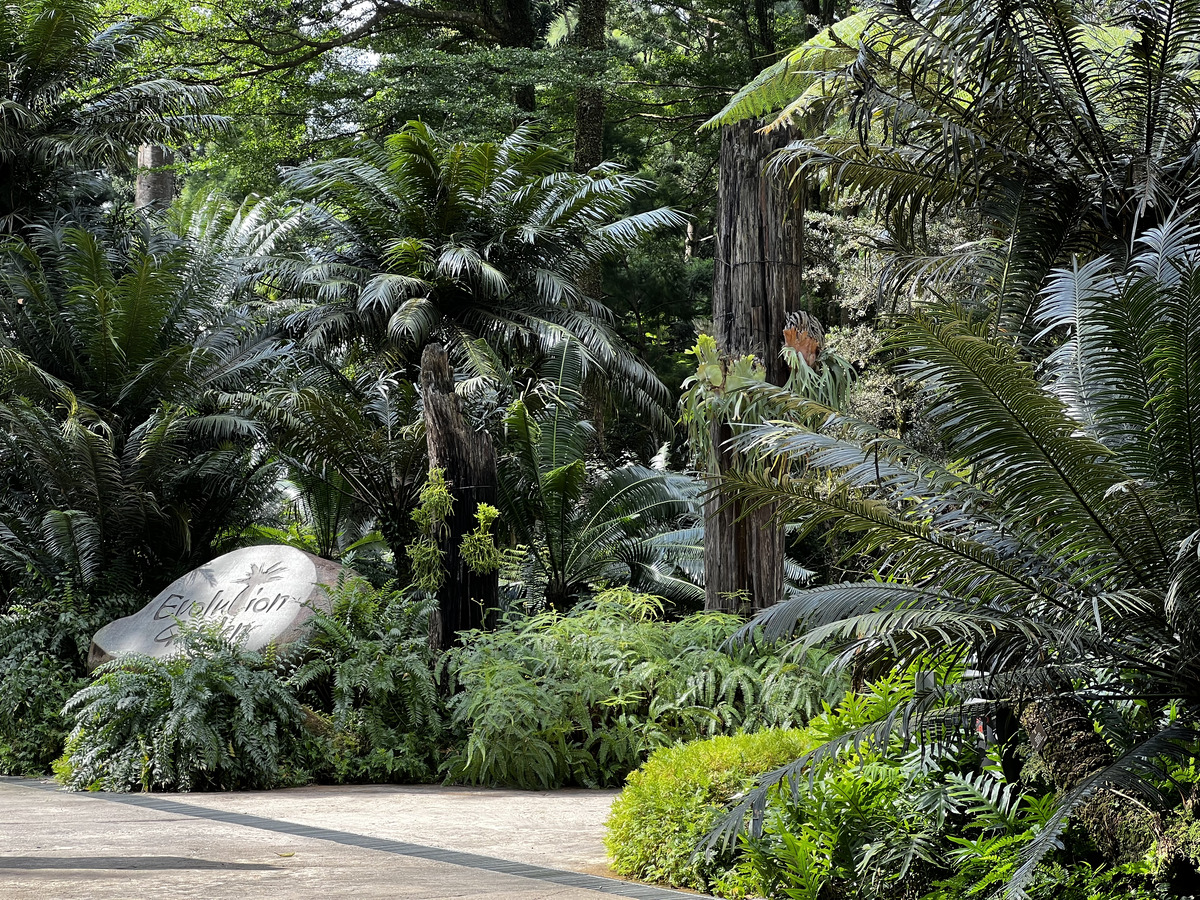 Photo Singapour Jardins botaniques de Singapore 2023-01 55