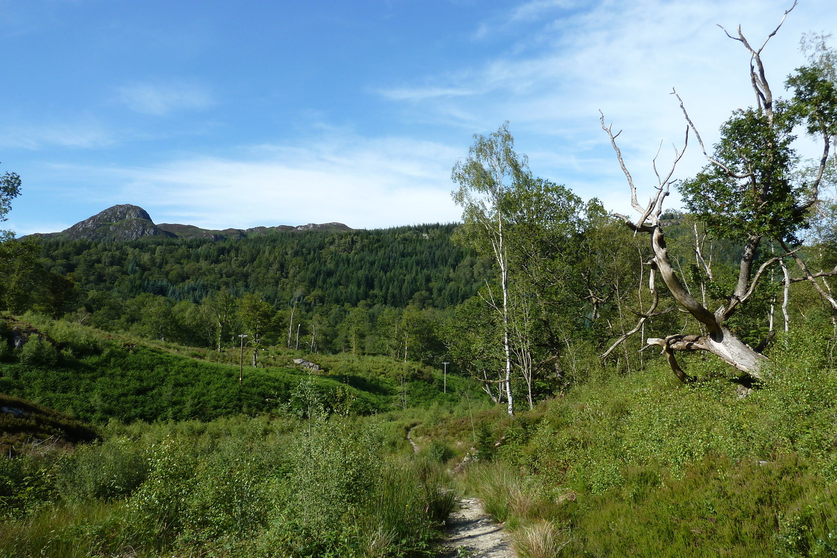 Photo Royaume-Uni Les Trossachs 2011-07 66