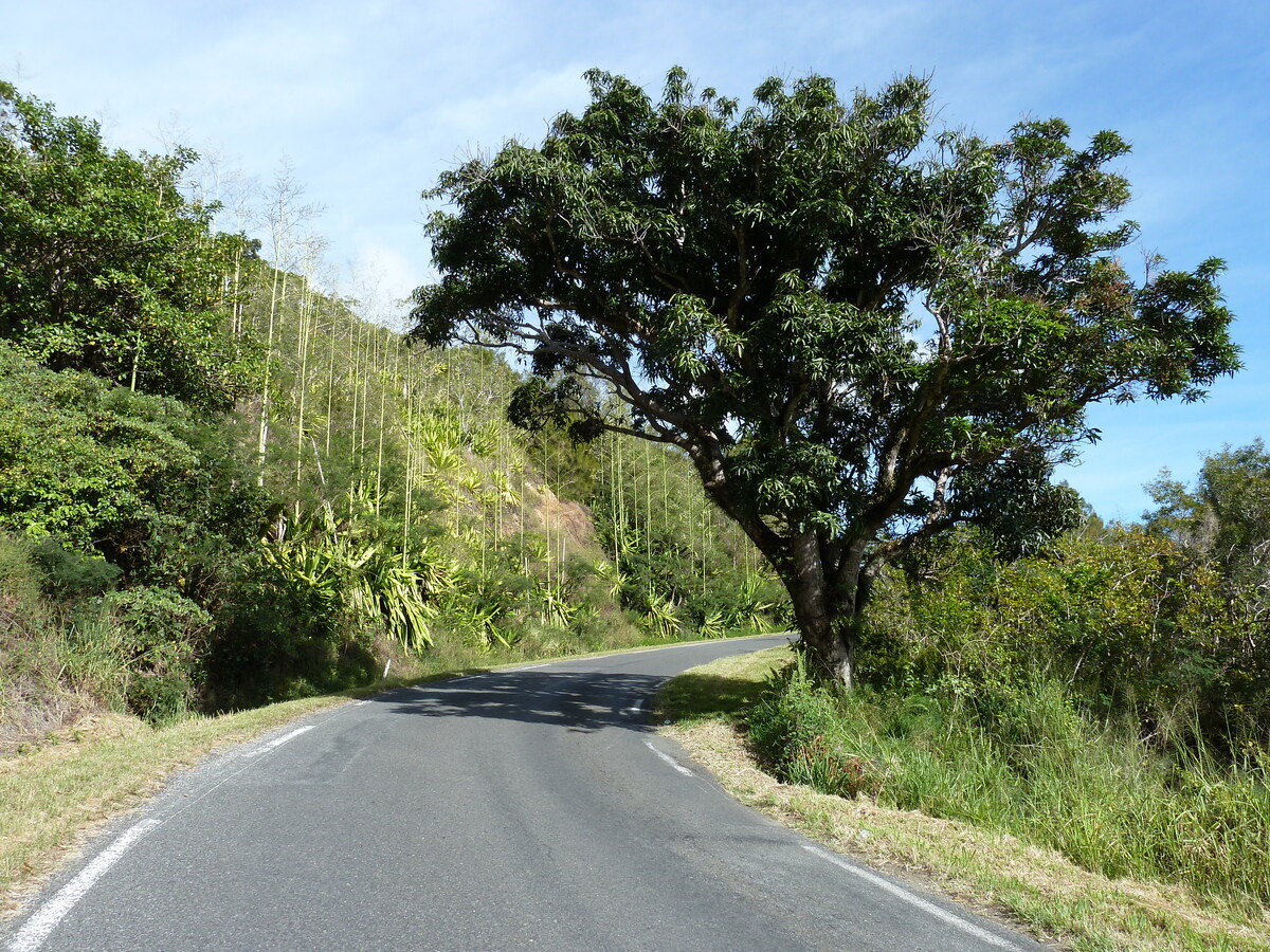 Photo Nouvelle-Calédonie route de Tontouta à Thio 2010-05 81