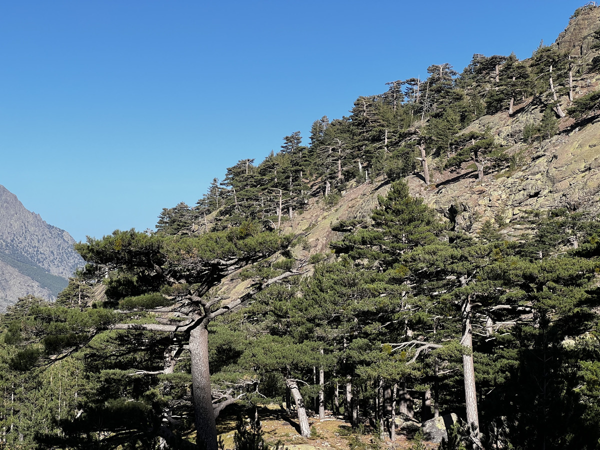 Photo France Corse Monte Cinto 2023-10 159