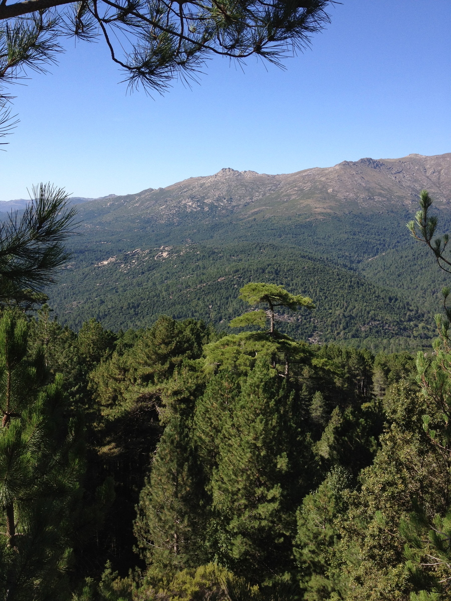 Photo France Corse Bavella 2012-09 6