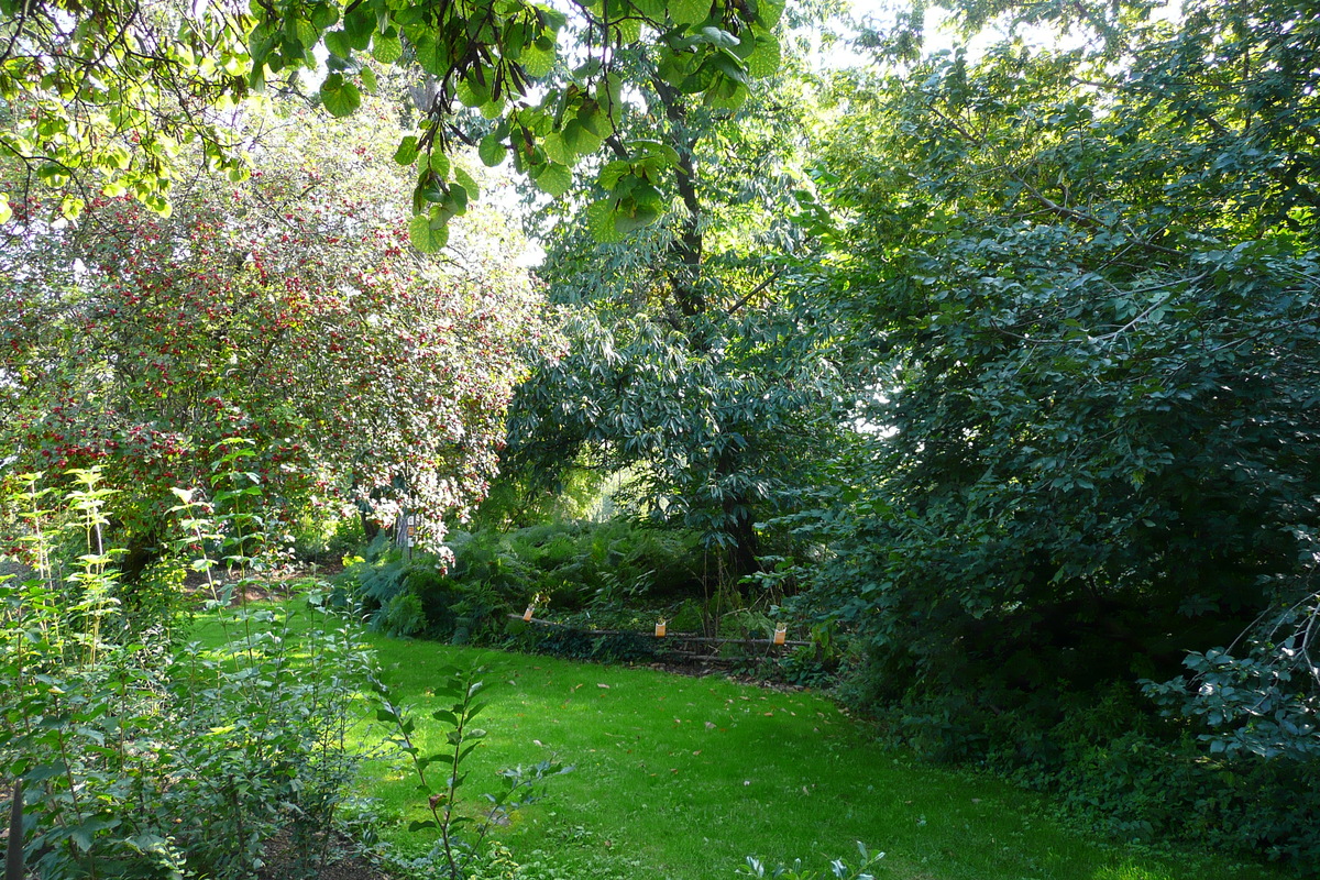 Photo France Paris Jardin des Plantes 2007-08 137