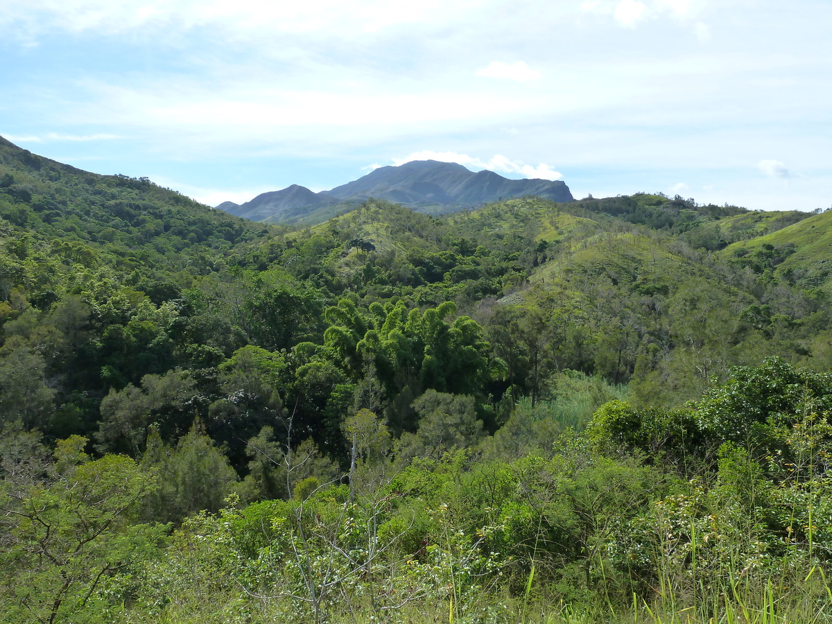 Photo Nouvelle-Calédonie route de Tontouta à Thio 2010-05 9