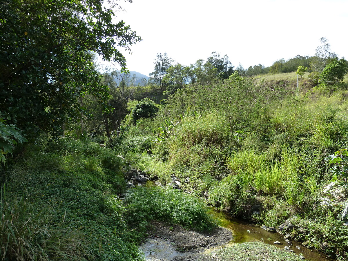 Photo Nouvelle-Calédonie route de Tontouta à Thio 2010-05 138