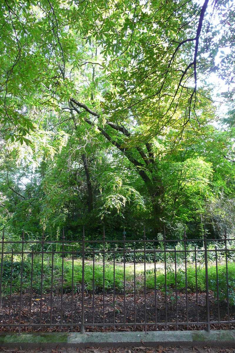 Photo France Paris Jardin des Plantes 2007-08 115