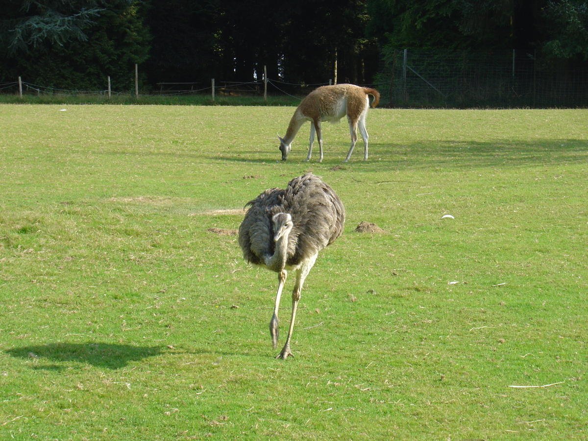 Photo France Branféré 2004-08 3
