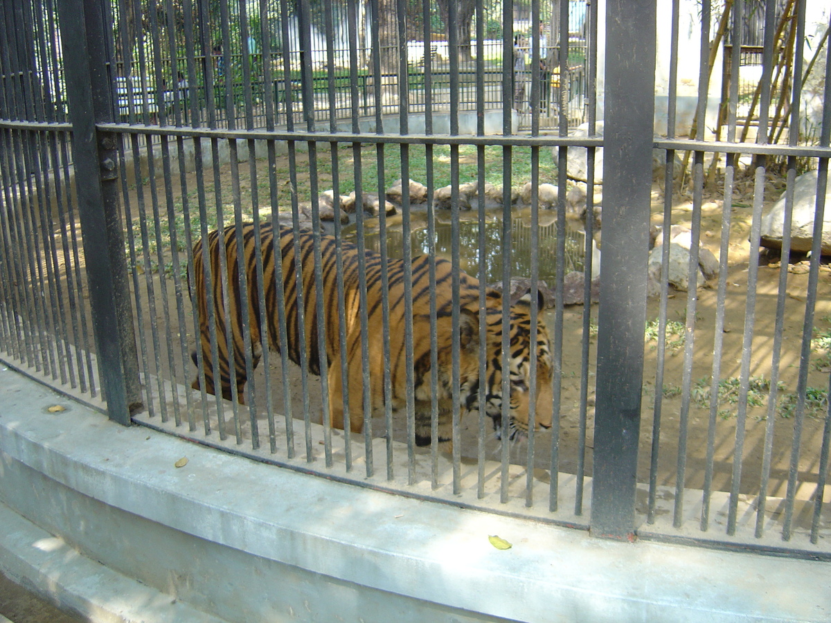 Photo Birmanie (Myanmar) Rangoun 2005-01 116