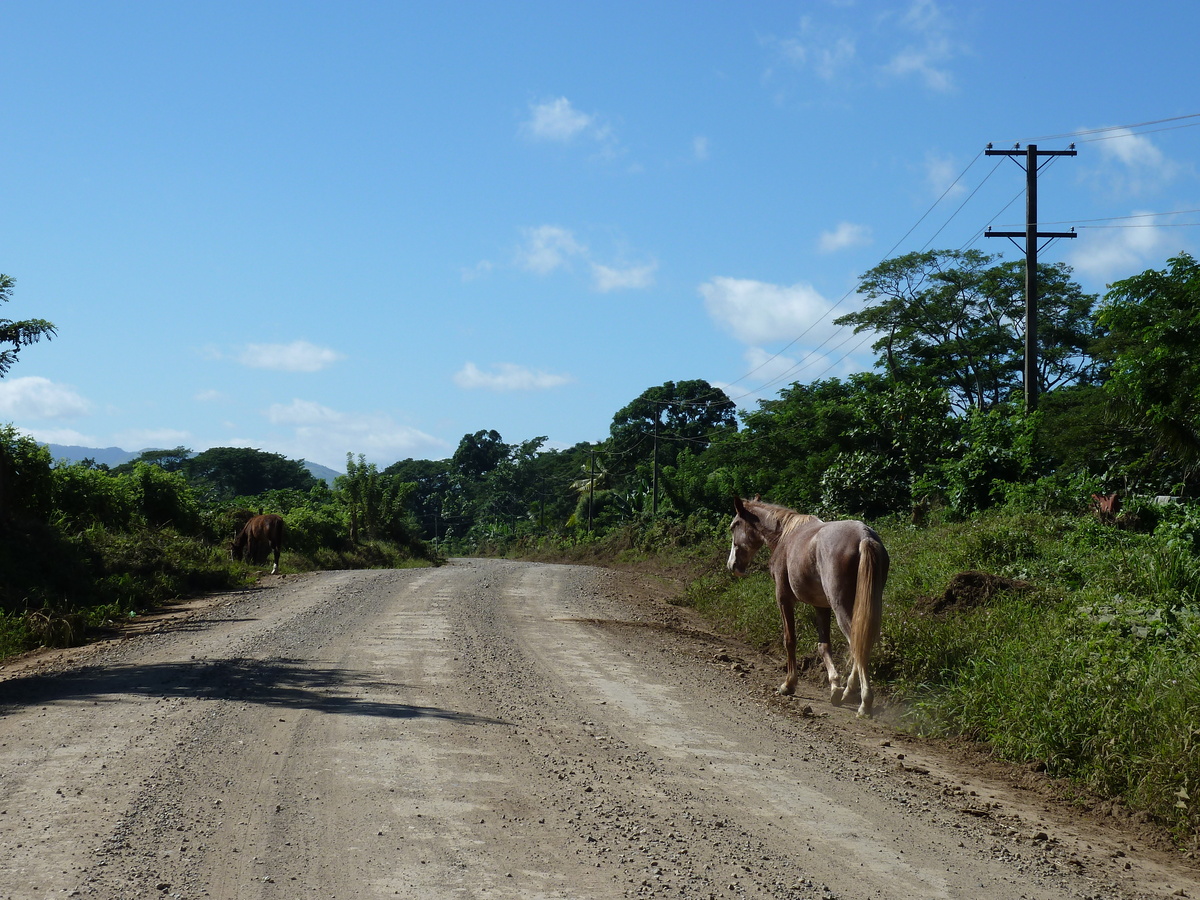 Photo Îles Fidji Rivière Sigatoka 2010-05 92