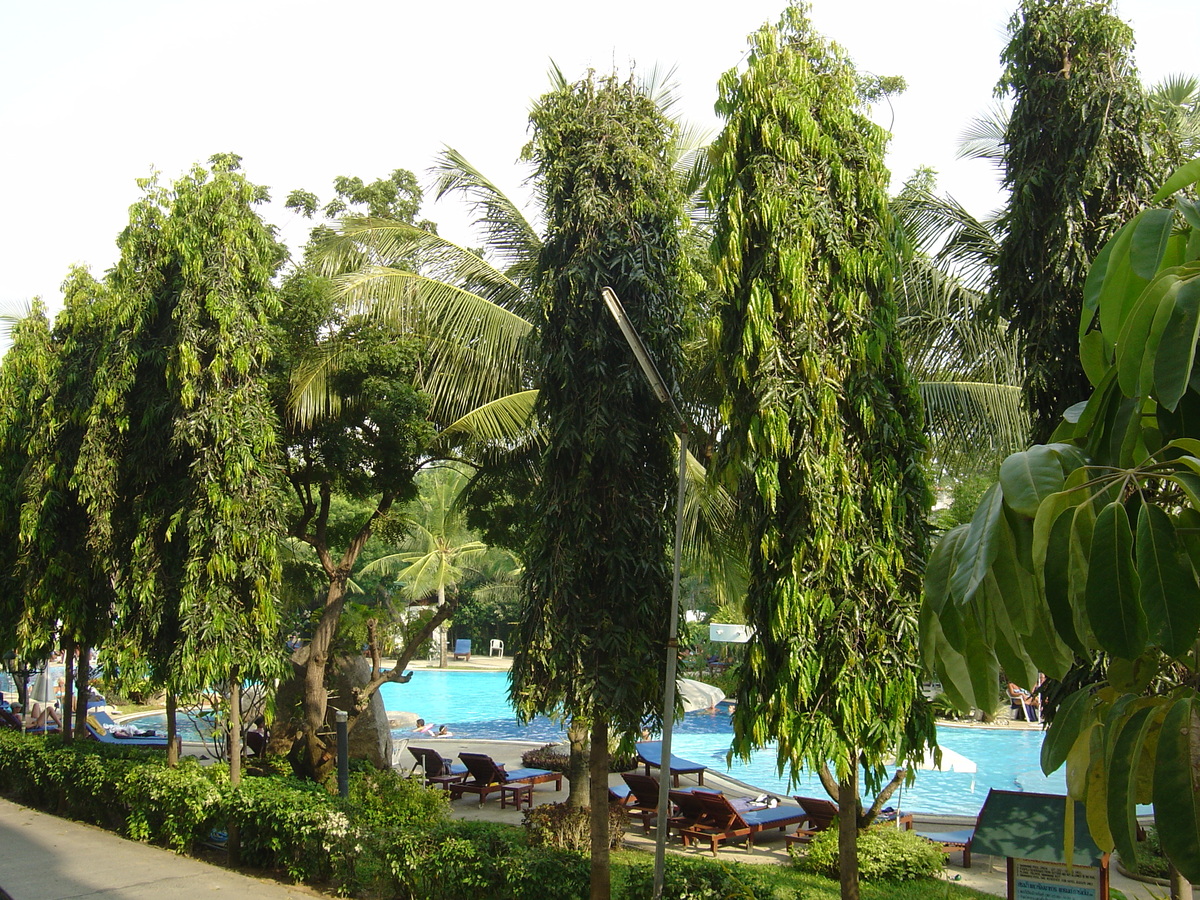 Photo Thaïlande Plage de Jomtien Hotel Grand Jomtien Palace 2004-10 15