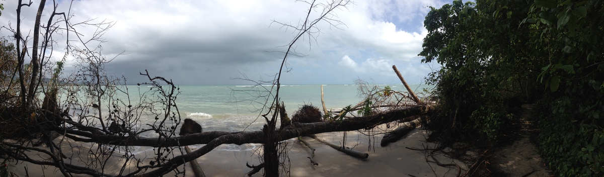 Photo Costa Rica Cahuita 2015-03 230