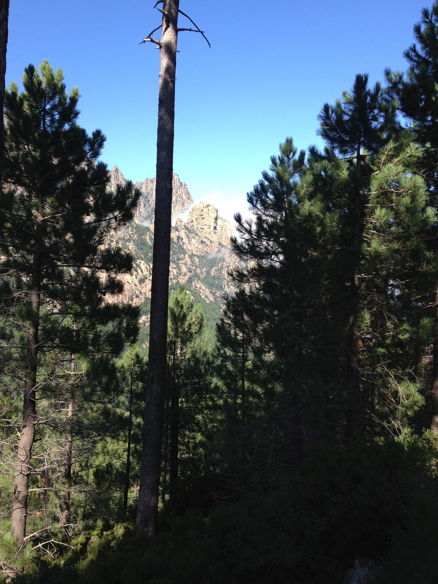 Photo France Corse Bavella 2012-09 31