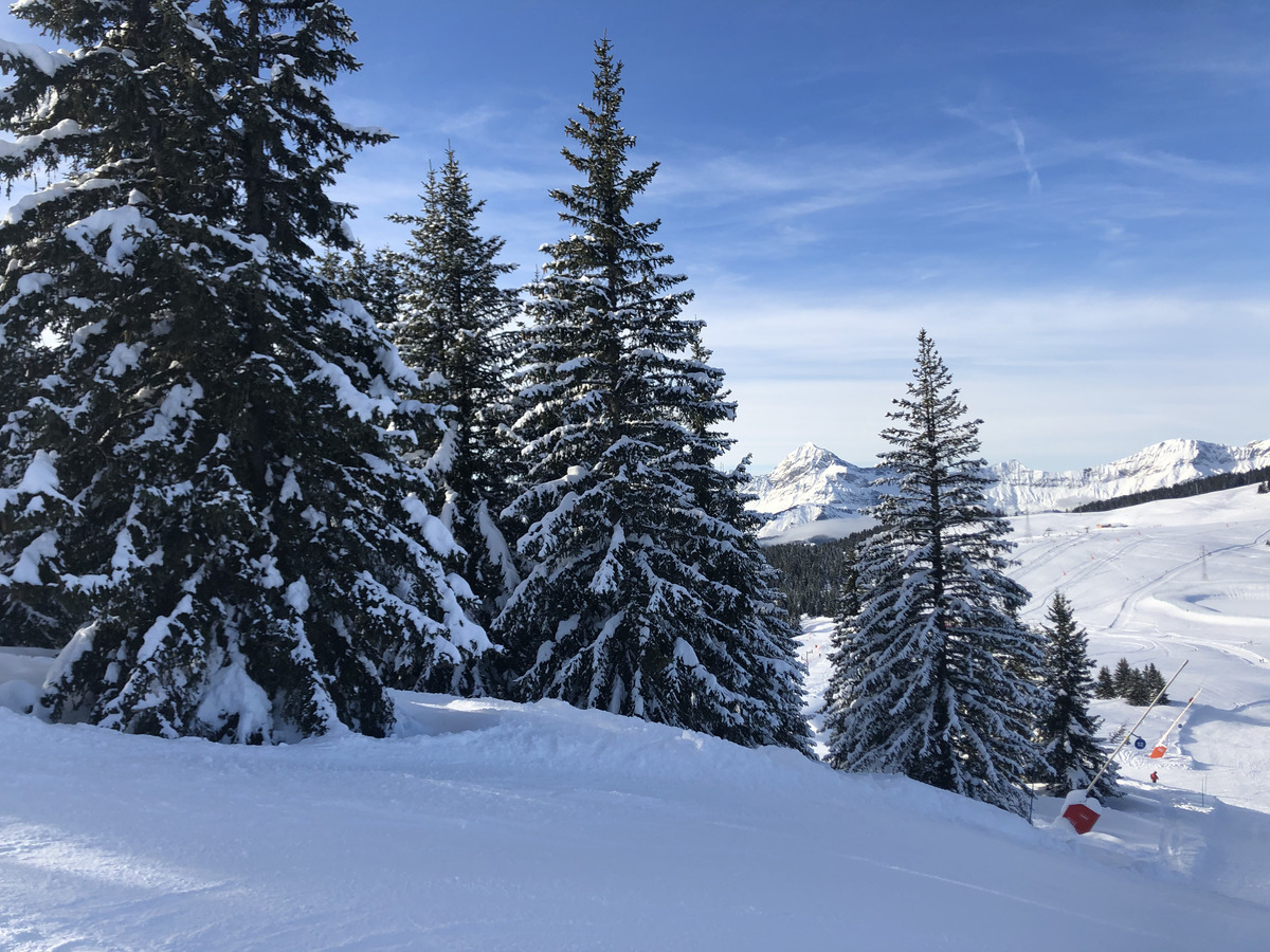 Photo France Praz sur Arly 2019-12 420