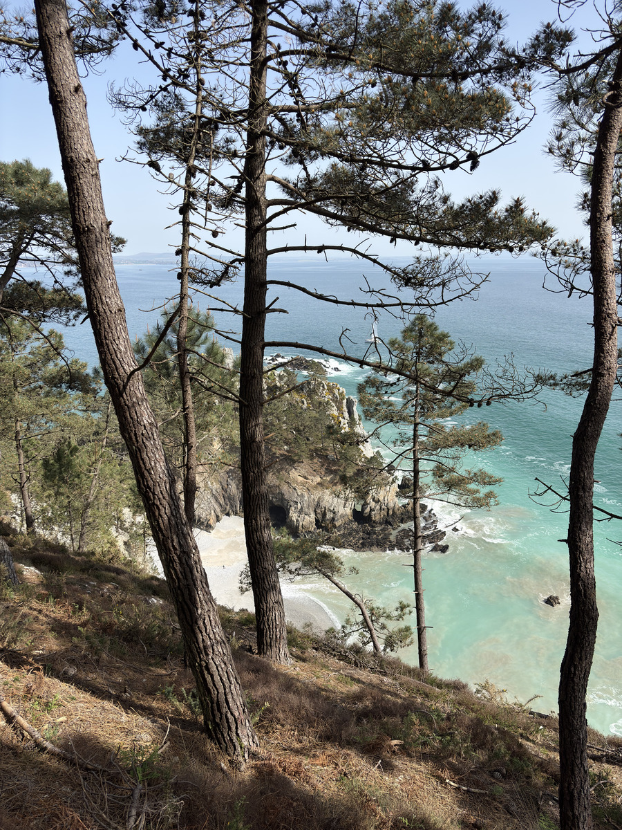Photo France Crozon Plage de l'Ile Vierge 2026-04 41