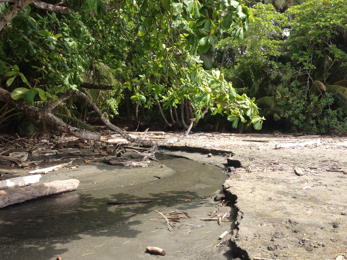 Photo Costa Rica Montezuma 2015-03 351