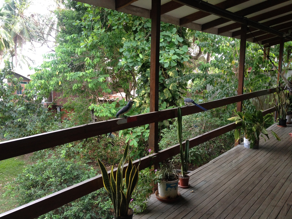 Photo Costa Rica Montezuma 2015-03 557