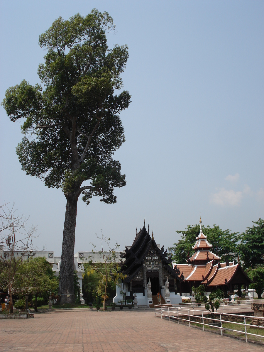 Photo Thaïlande Chiang Mai Centre(intra Canal) Temple Chediluang Varaviharn 2006-04 1