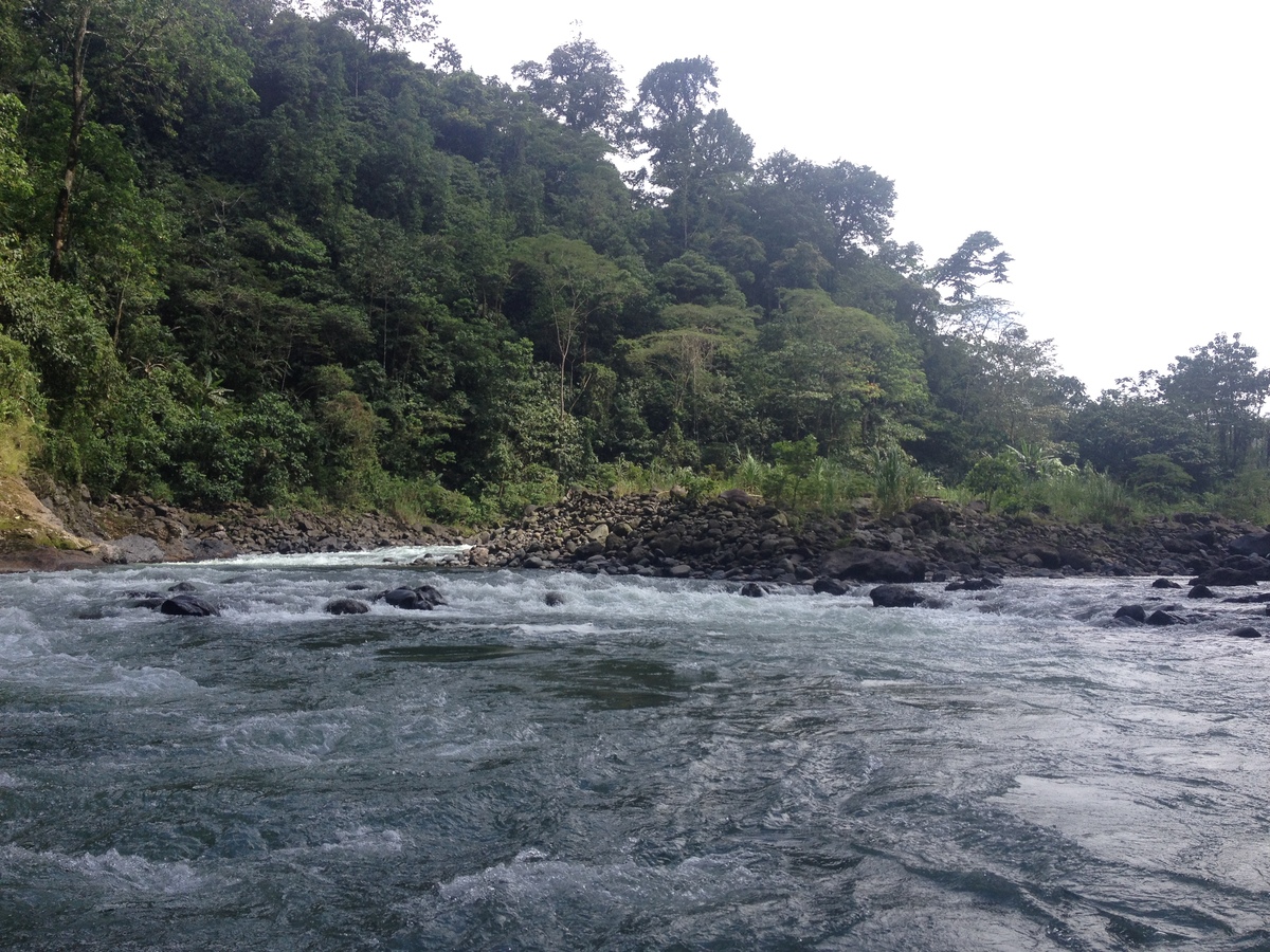 Photo Costa Rica Rivière Pacuare 2015-03 118