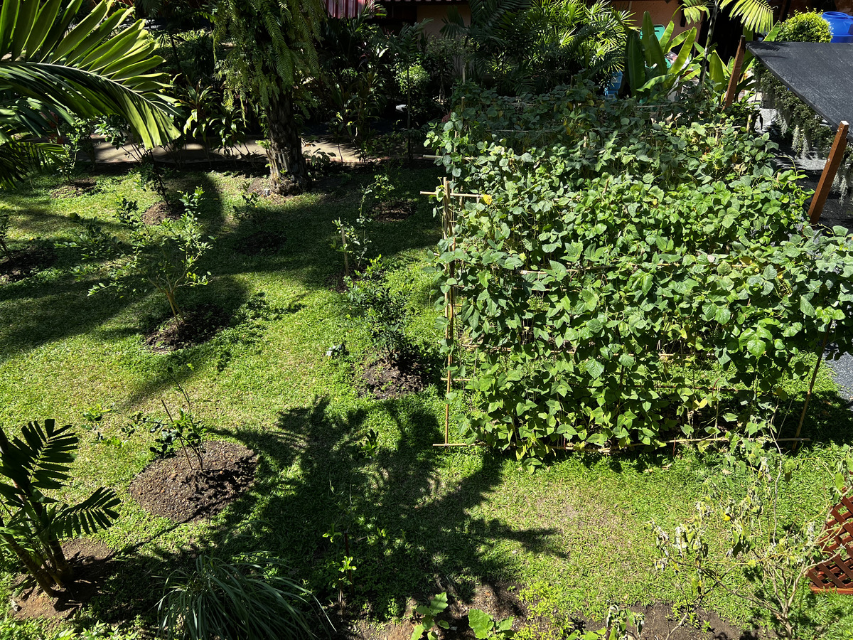 Photo Thaïlande Phuket Patong Hotel Royal Phawadee Village 2021-12 9