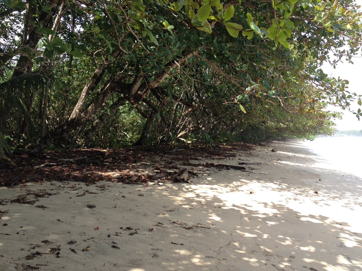 Photo Costa Rica Cahuita 2015-03 183