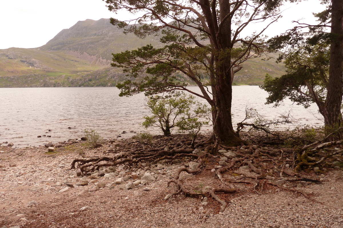 Photo Royaume-Uni Écosse Loch Maree 2011-07 8