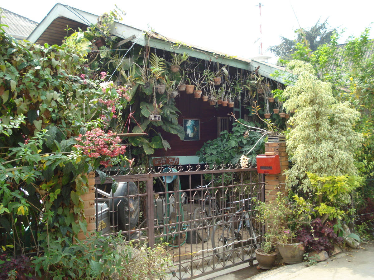 Photo Thaïlande Pai 2007-02 27
