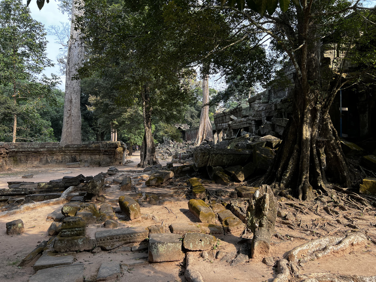 Photo Cambodge Siem Reap Ta Prohm 2023-01 122