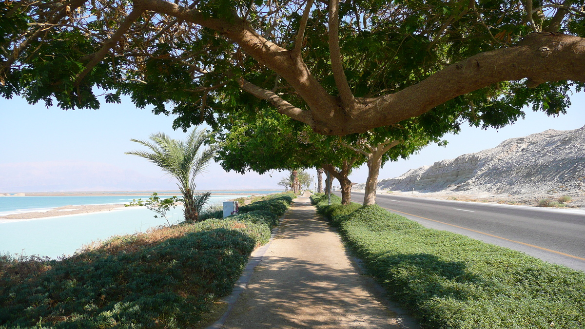 Photo Israel Boqeq 2007-06 14