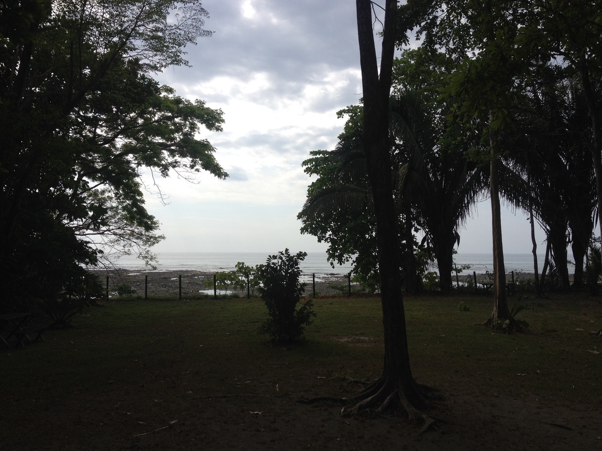 Photo Costa Rica Montezuma 2015-03 429