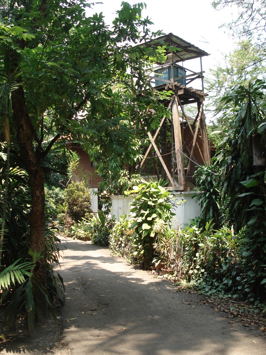 Photo Thaïlande Chiang Mai Centre(intra Canal) Rue Rad Cha Dom Nurn (Rue piétonne) 2006-04 21