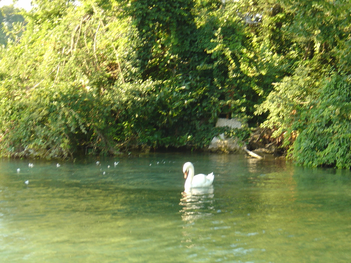 Photo France Annecy 2004-08 71