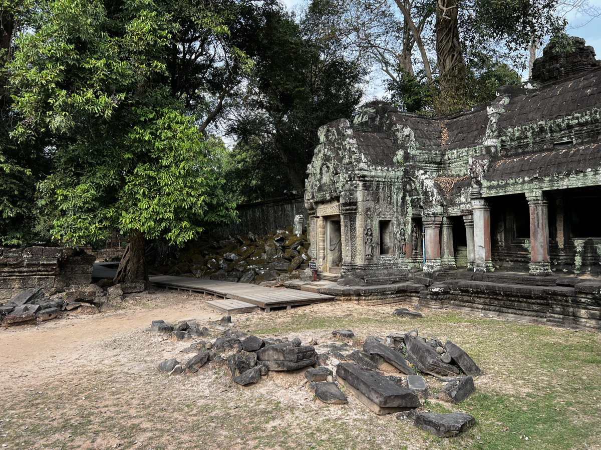Photo Cambodge Siem Reap Ta Prohm 2023-01 5