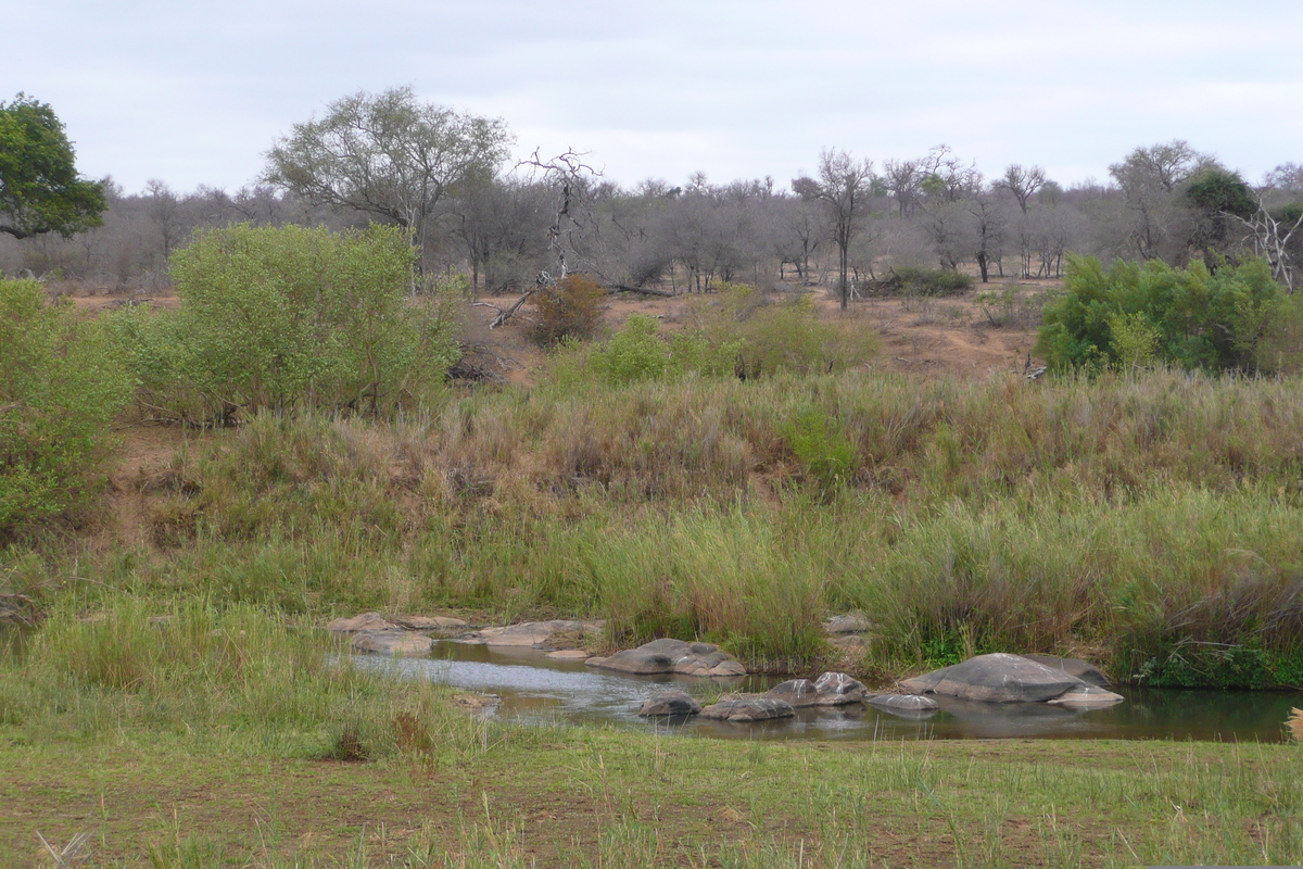 Photo Afrique du Sud Parc National Kruger Rivière Sable 2008-09 26