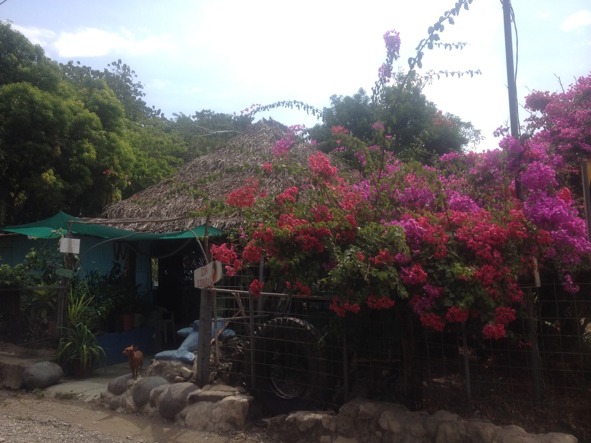Photo Costa Rica Montezuma 2015-03 258