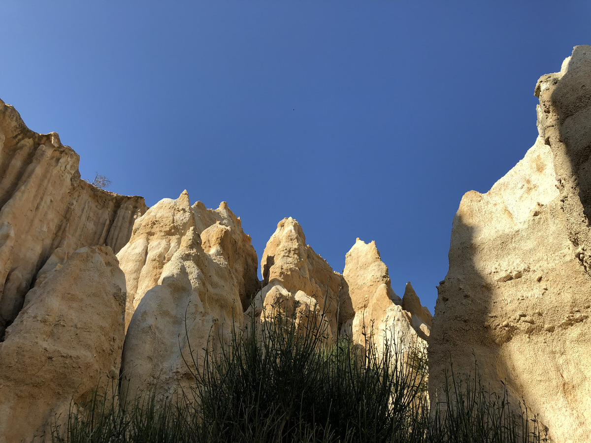 Photo France Orgues d'Ille Sur Tet 2018-04 76