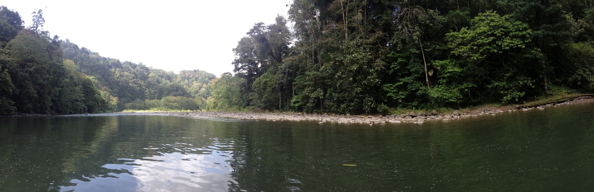 Photo Costa Rica Rivière Pacuare 2015-03 219