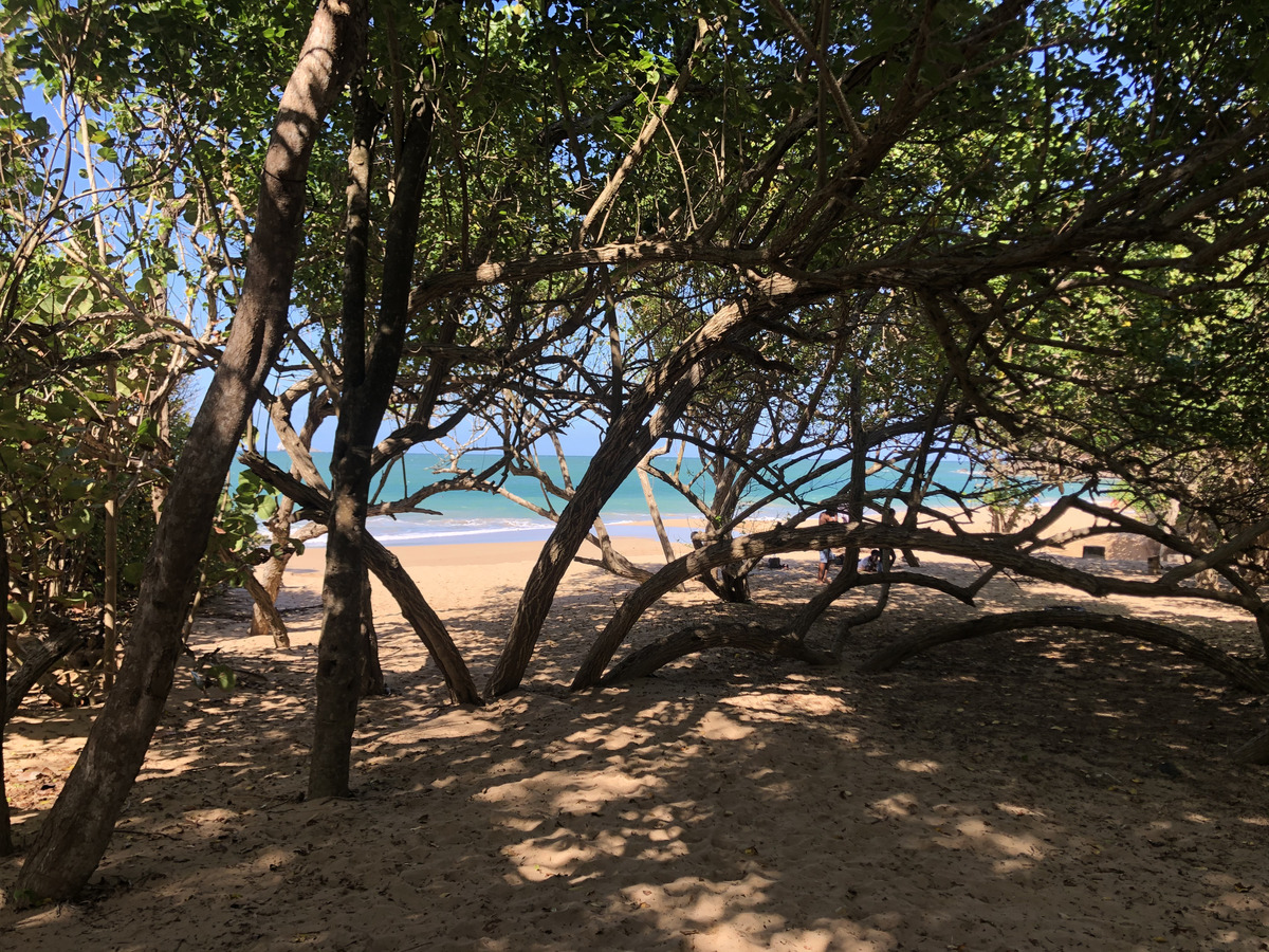 Photo Guadeloupe Fort Royal 2021-02 8