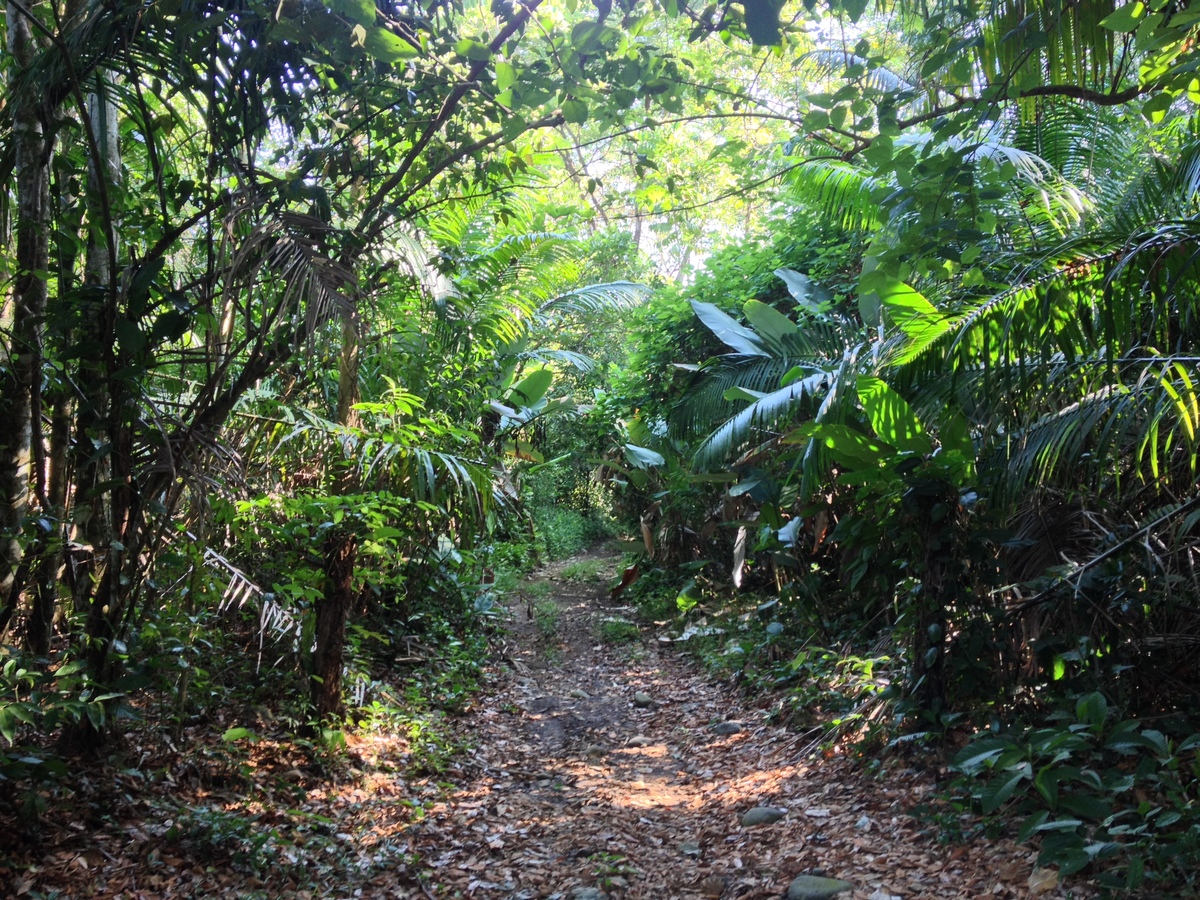 Photo Costa Rica Uvita 2015-03 6