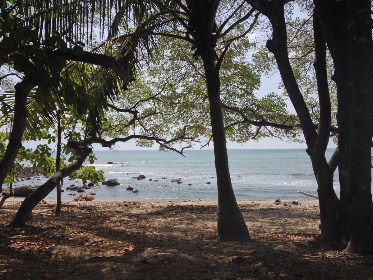 Photo Costa Rica Montezuma 2015-03 182