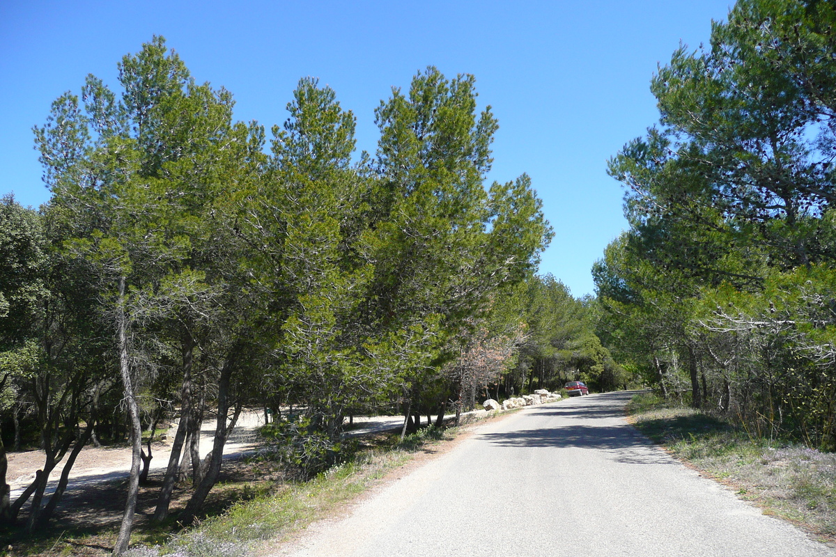 Photo France Provence route de Beaucaire au Pont du gard 2008-04 10