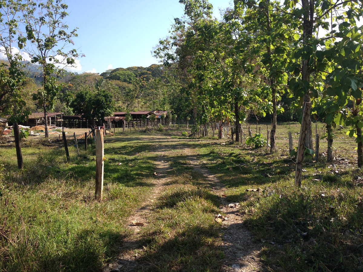 Photo Costa Rica Uvita 2015-03 1