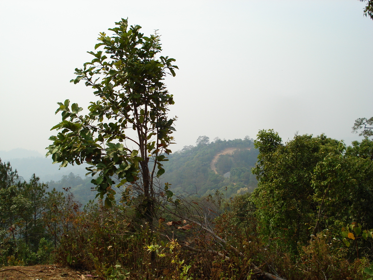 Photo Thaïlande Route de Chiang Mai à Pai 2007-02 95