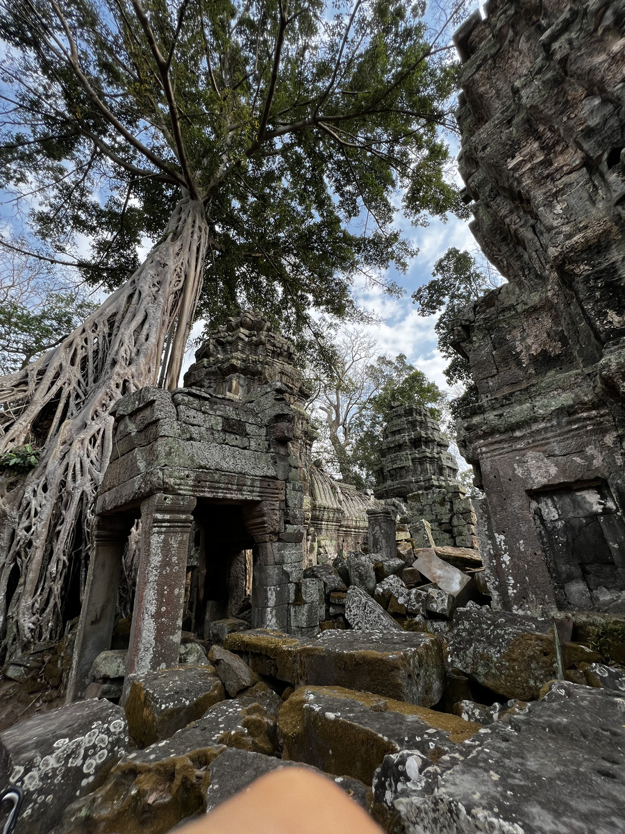 Photo Cambodge Siem Reap Ta Prohm 2023-01 114