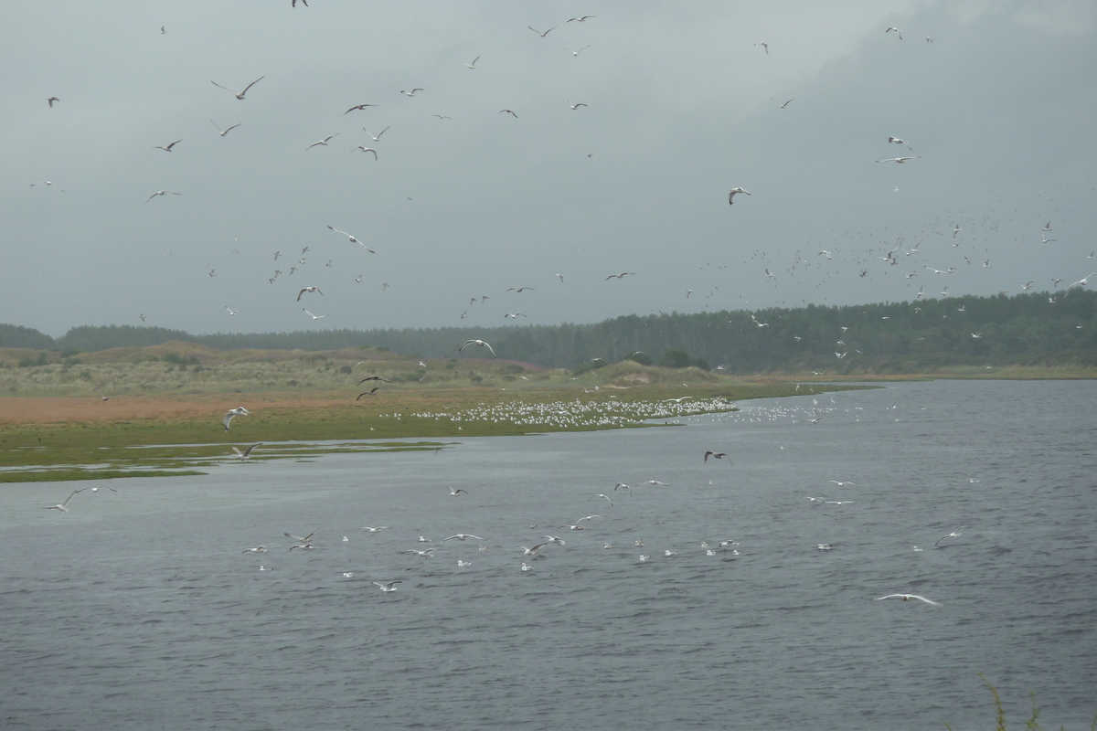 Photo Royaume-Uni Écosse Lossiemouth 2011-07 12