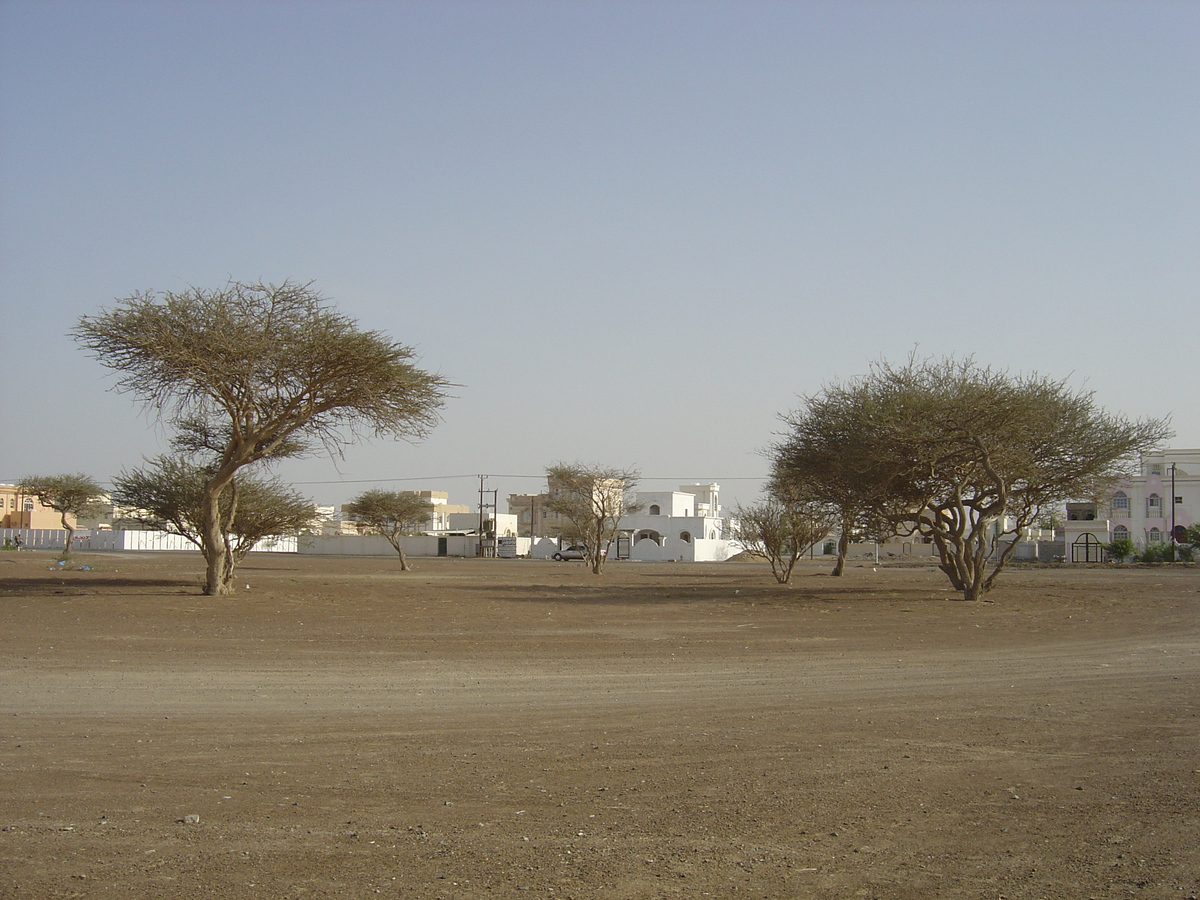 Photo Oman Buraimi 2005-03 4